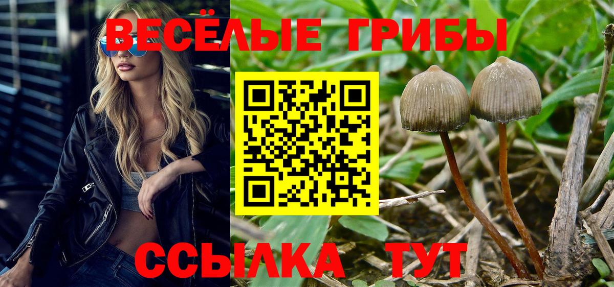 Псилоцибиновые грибы MAGIC MUSHROOMS  Вход с VPN  Нововоронеж 
